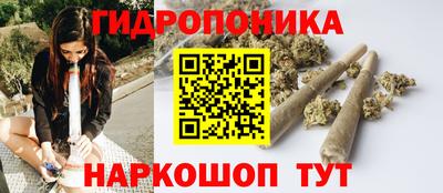 apvp Тулун